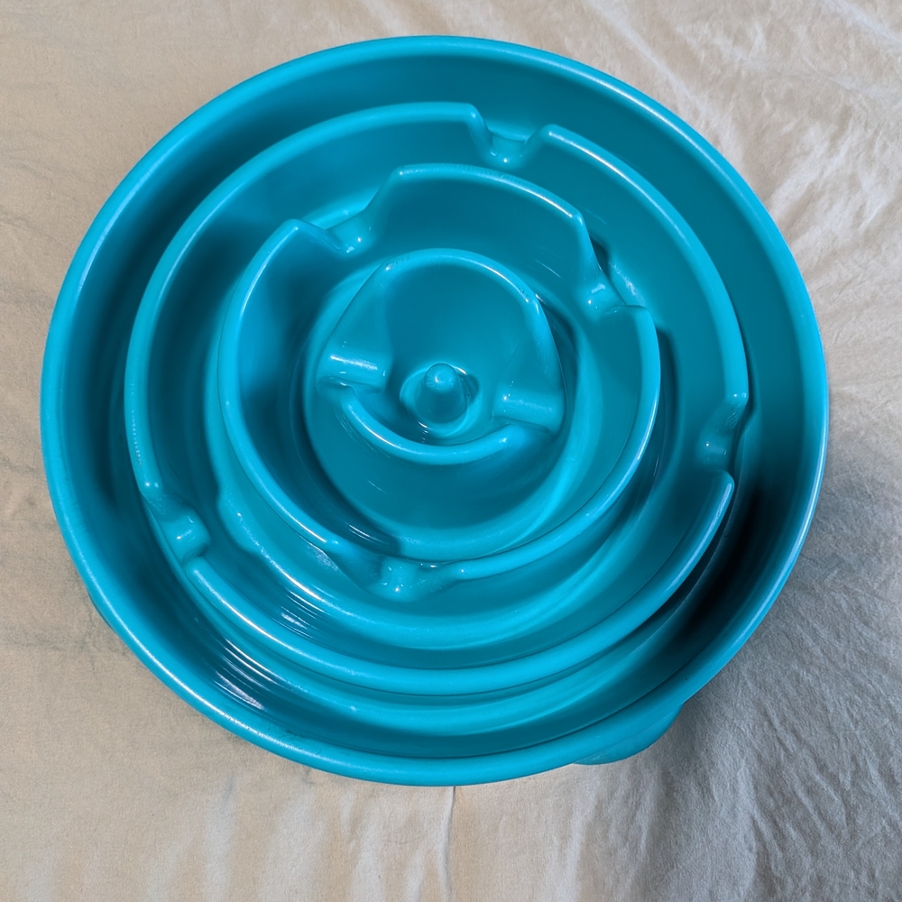Outward Hound Turquoise Slow Feeder Dog Bowl